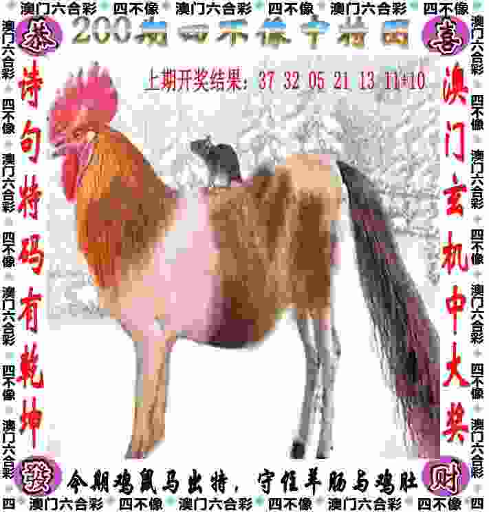 【楠楠自语】安得赛龙？