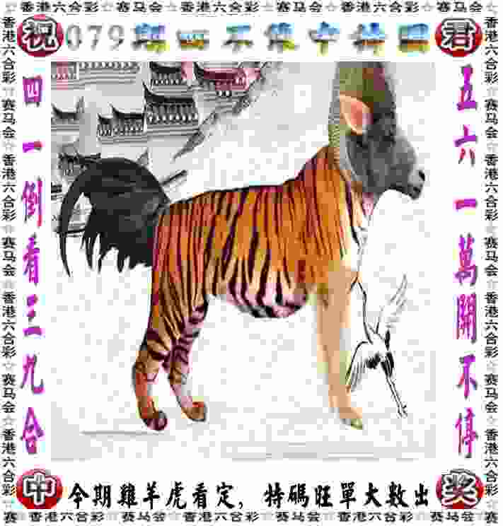 5:26，中国男子水球与世界强队的差距